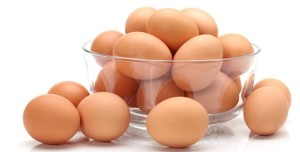 telur