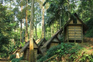 baduy