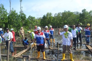 peduli-lingkungan-pertamina-tanam-5000