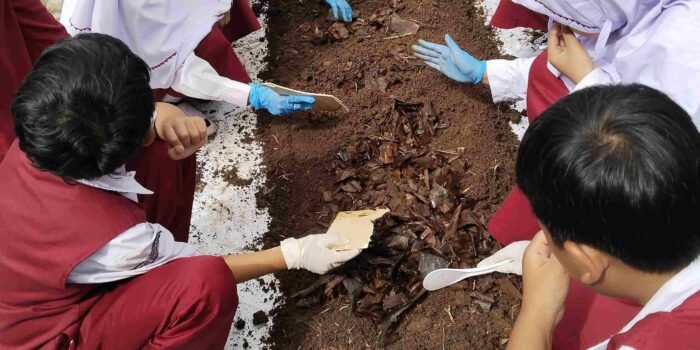 WhatsApp Image 2025-10-29 at 14.20.34_11zon