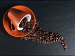 biji kopi