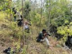KAWASAN HUTAN
