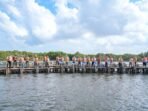MANGROVE PESISIR