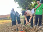 TANAM POHON